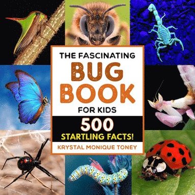 bokomslag The Fascinating Bug Book for Kids