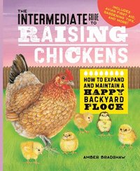 bokomslag The Intermediate Guide to Raising Chickens: How to Expand and Maintain a Happy Backyard Flock