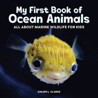 bokomslag My First Book of Ocean Animals: All about Marine Wildlife for Kids