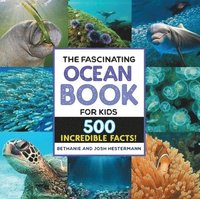 bokomslag The Fascinating Ocean Book for Kids: 500 Incredible Facts!
