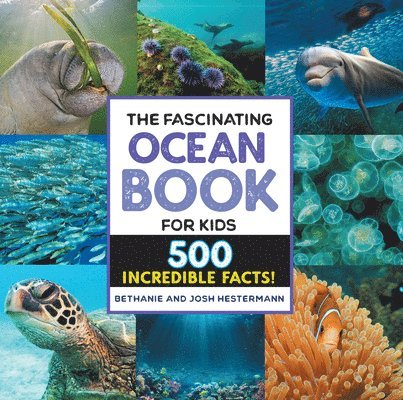 The Fascinating Ocean Book for Kids: 500 Incredible Facts! 1