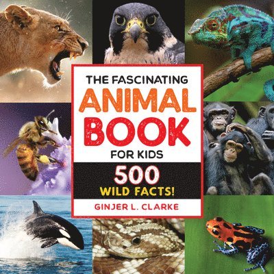 The Fascinating Animal Book for Kids: 500 Wild Facts! 1