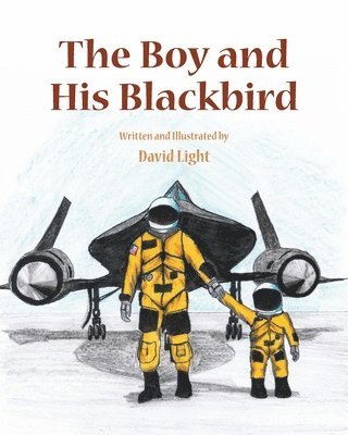 Boy and His Blackbird 1