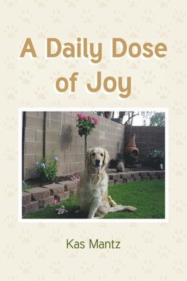 bokomslag Daily Dose of Joy