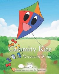 bokomslag Calamity Kite