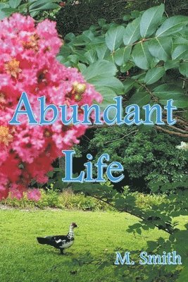 bokomslag Abundant Life