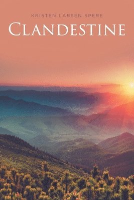 bokomslag Clandestine