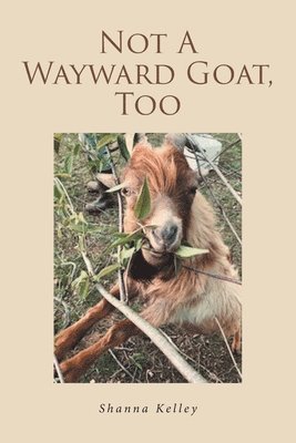 bokomslag Not A Wayward Goat, Too
