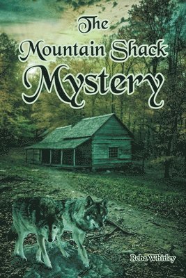 bokomslag Mountain Shack Mystery