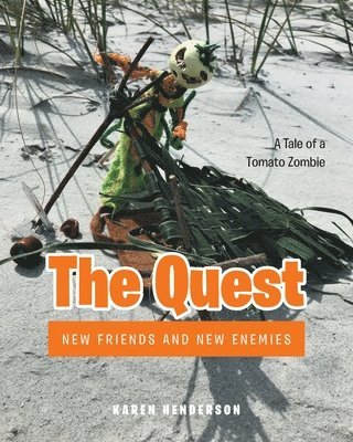 The Quest 1