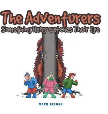 bokomslag Adventurers