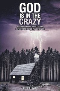 bokomslag God Is in the Crazy