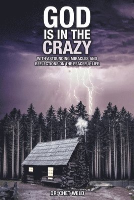 bokomslag God Is in the Crazy