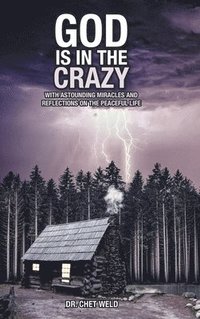bokomslag God Is in the Crazy