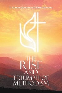 bokomslag Rise and Triumph of Methodism