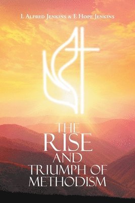bokomslag Rise and Triumph of Methodism
