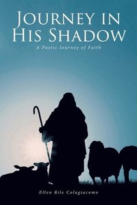 bokomslag Journey in His Shadow