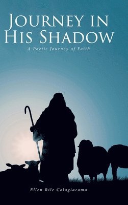 bokomslag Journey in His Shadow