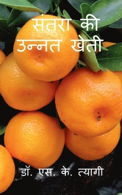 S K Tyagi - Improved Cultivation of Mandarin / संतरा की उन्नत खेती, Häftad