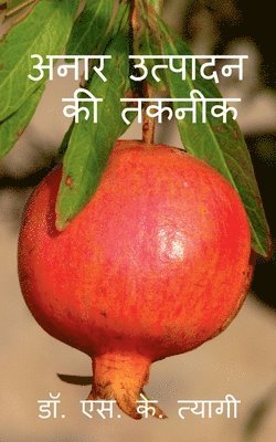 bokomslag Production Technology of Pomegranate / &#2309;&#2344;&#2366;&#2352; &#2313;&#2340;&#2381;&#2346;&#2366;&#2342;&#2344; &#2325;&#2368; &#2340;&#2325;&#2344;&#2368;&#2325;