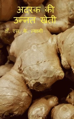 bokomslag Improved Cultivation of Ginger / &#2309;&#2342;&#2352;&#2325; &#2325;&#2368; &#2313;&#2344;&#2381;&#2344;&#2340; &#2326;&#2375;&#2340;&#2368;