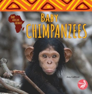 bokomslag Baby Chimpanzees