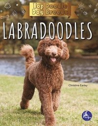 bokomslag Labradoodles