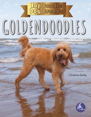 bokomslag Goldendoodles