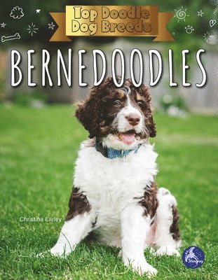 Christina Earley - Bernedoodles, Inbunden