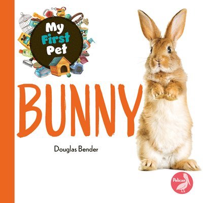 Douglas Bender - Bunny, Inbunden