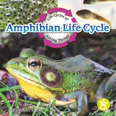 Tracy Vonder Brink - Amphibian Life Cycle, Inbunden. Tillgänglighet: Lägg i varukorg
