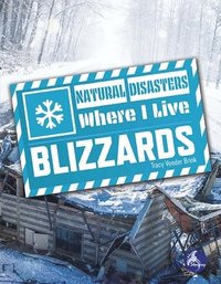 bokomslag Blizzards