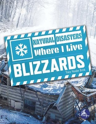 bokomslag Blizzards