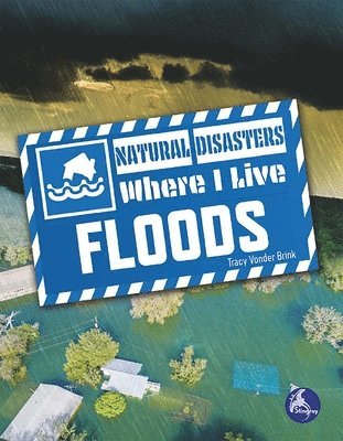 Tracy Vonder Brink - Floods, Inbunden