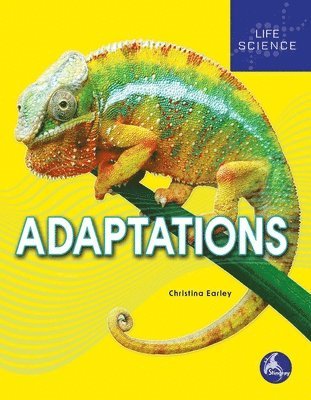 Christina Earley - Adaptations, Inbunden