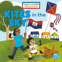 bokomslag Kites in the Sky