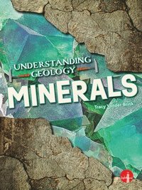 bokomslag Minerals