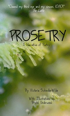 Megan Schindlerwilde - Prosetry, Häftad