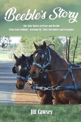 Jill Cawsey - Beeble's Story, Häftad