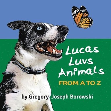 bokomslag Lucas Luvs Animals from A to Z