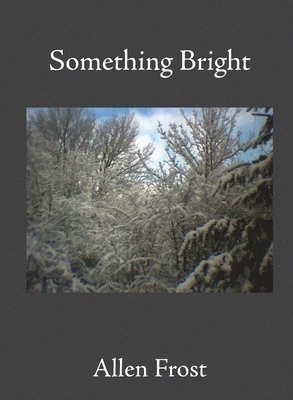 Allen Frost - Something Bright, Häftad