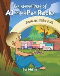 bokomslag The Adventures of AJ and His Pet Rocks