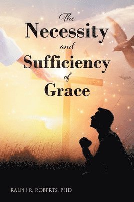 bokomslag The Necessity and Sufficiency of Grace