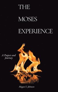 bokomslag Moses Experience