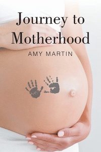 bokomslag Journey to Motherhood