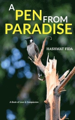 Hashmat Fida - Pen From Paradise, Häftad