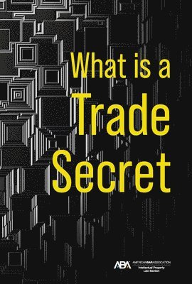 bokomslag What Is a Trade Secret