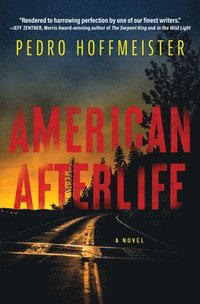 bokomslag American Afterlife