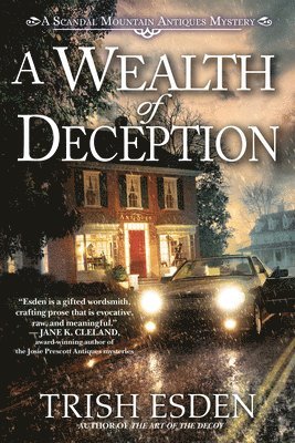 A Wealth of Deception 1