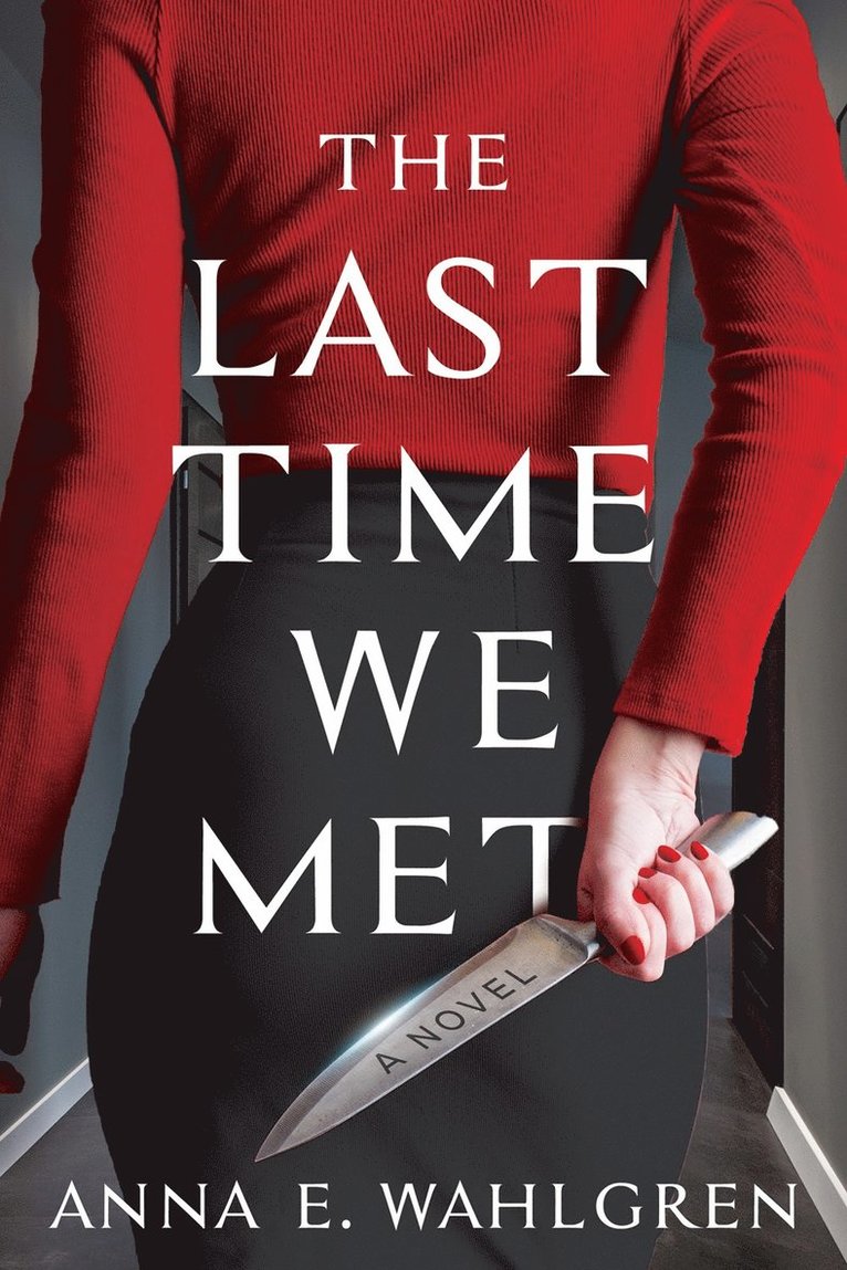 Anna E. Wahlgren, Anna E Wahlgren - Last Time We Met, Inbunden